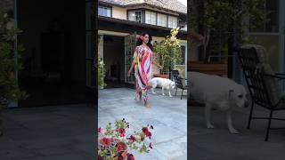Download lagu Beauty queen 💗 #mallikasherawat enjoys the #sunnyday with her #dog #shorts mp3