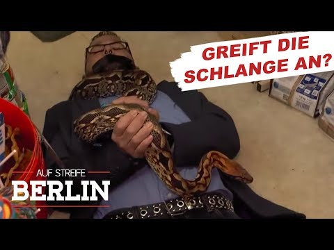 Haselnüsse in der Diabetes Bad Zalmanova und Diabetes