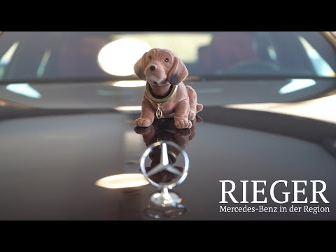 Alles auf Beat - Autohaus Rieger