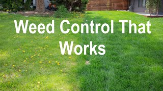 100% Organic Weed Killer for Lawns - One Earth Weed Control - Kills Dandelions FAST