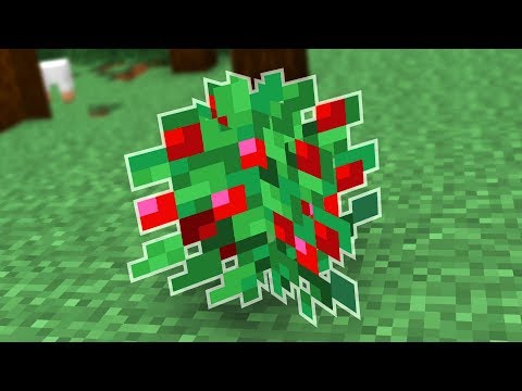 OMGcraft - Minecraft Tips & Tutorials! - All About the Sweet Berry Bush in Minecraft