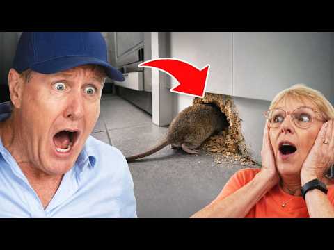 Everyone Missed This HORRIFIC Rat Smell Inside Her Walls!