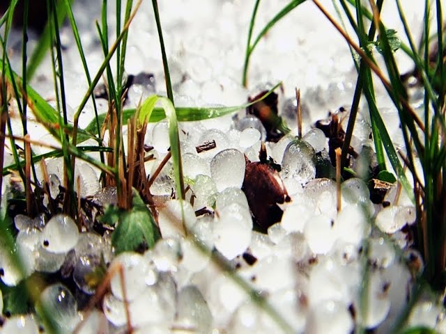 Снежные сюрпризы лета!