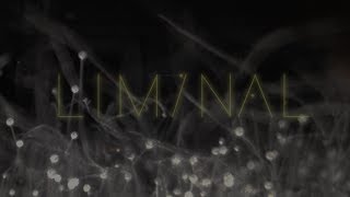 liminal 2 [Full Album Stream]