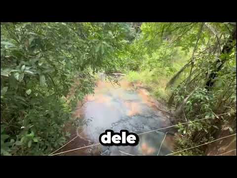 Oportunidade em Quirinópolis/GO: Fazenda de 12,5 Alqueires com Aptidão para Cana e Soja