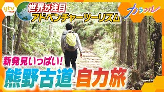 熊野古道 日本の世界遺産・動画