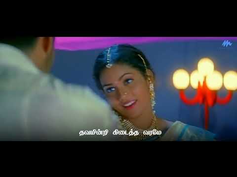 தவமின்றி கிடைத்த வரமே | பாடல் வரிகள்