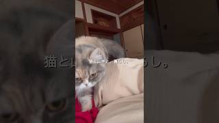 少しずつ早起き☀️#vlog #古民家 #日常 #猫 #ヤギ