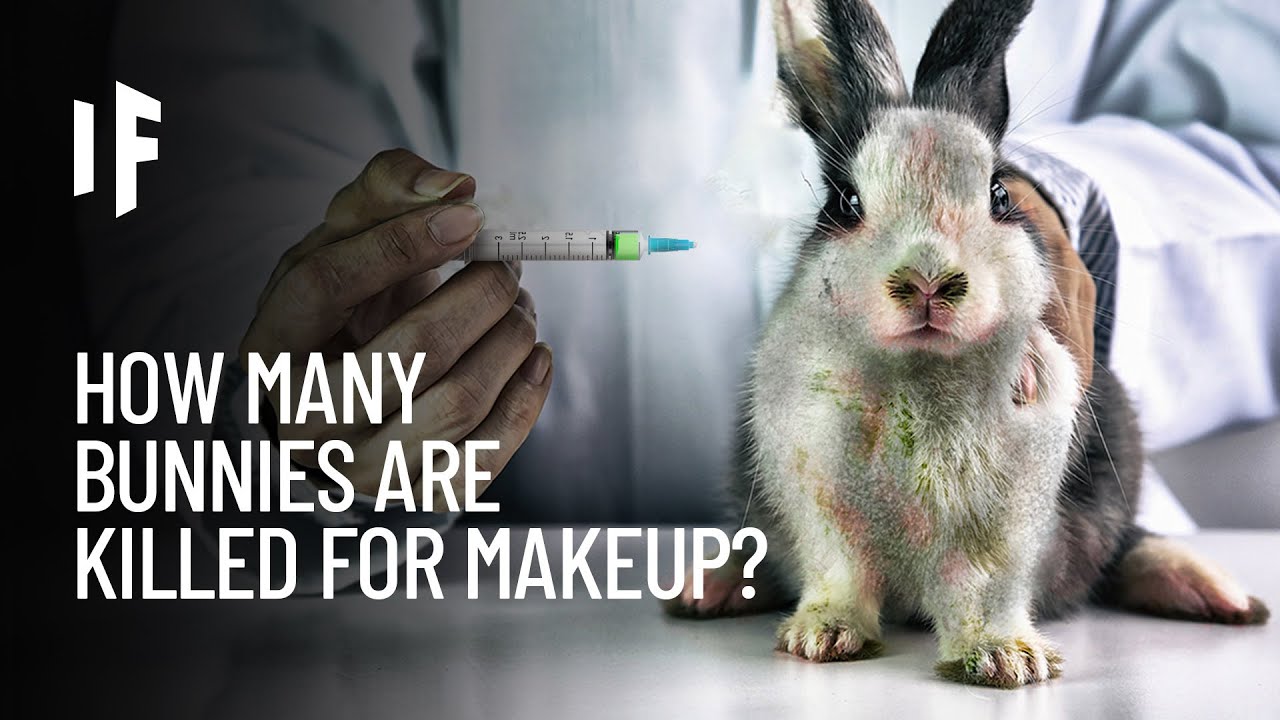 Can we stop animal testing?