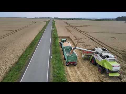 Getreideernte in voller Länge