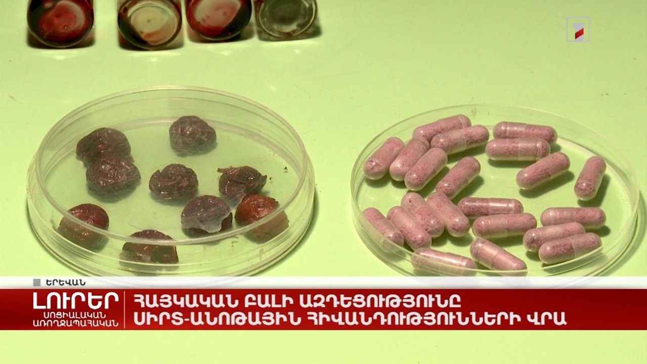 Հայկական բալի ազդեցությունը սիրտ-անոթային հիվանդությունների վրա