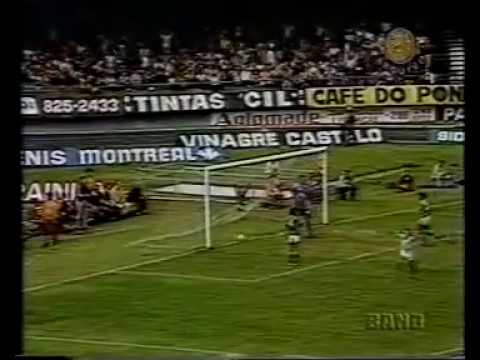Palmeiras 2x0 Guarani - Campeonato Paulista 1979