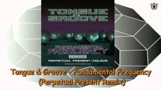 Tongue & Groove - Fundamental Frequency (Perpetual Present Rmx)