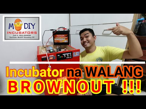 How To Make Automatic Emergency Power Supply for EGG Incubator
