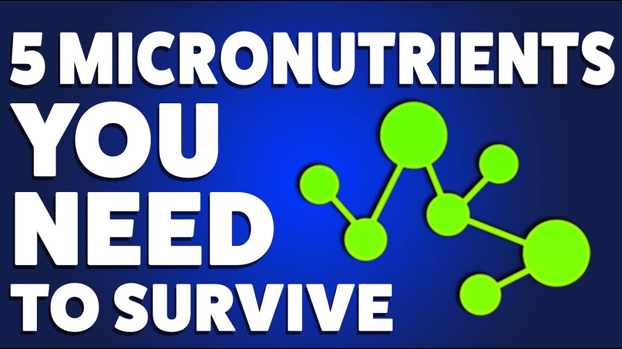 5 Micronutrients You Need to Survive