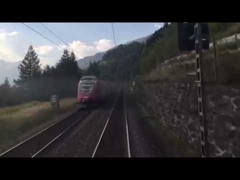 Extrem seltene Spezies gesichtet!