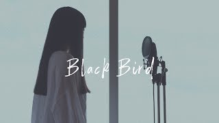 【アカペラ】Black Bird - Aimer｜Groovy groove