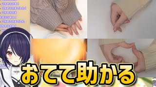ウサギ視点 - 手フェチ向け動画【あおぎり高校/音霊魂子/切り抜き】