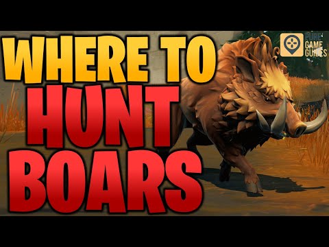 Where to Hunt Boar in Fortnite Chapter 2 Season 6