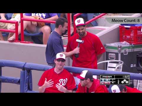 Gio Gonzalez works word "meow" into TV interview 11 times