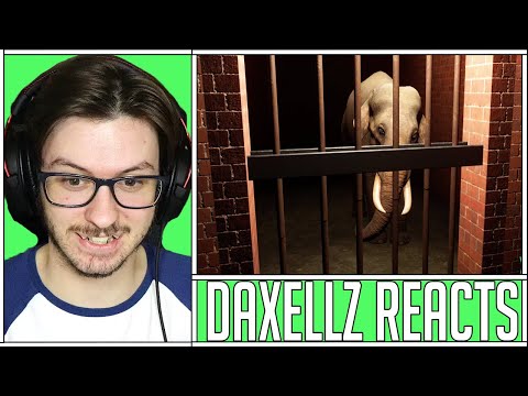 Daxellz Reacts to Let's Game It Out I Built an Unethical Zoo That's an Actual Prison - Planet Zoo