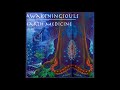 Awakening Souls - Earth Medicine (432Hz)