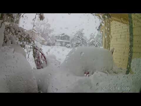 The whole Blizzard 2021 - Fort Collins, Colorado - Timelapse