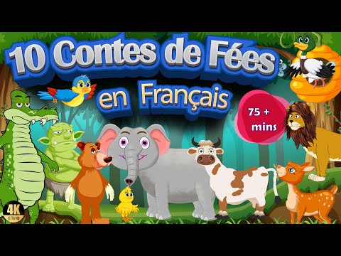 10 Contes De Fées | Histoire Pour S'endormir | Contes De Fées en Français|10 Histoires d'animaux
