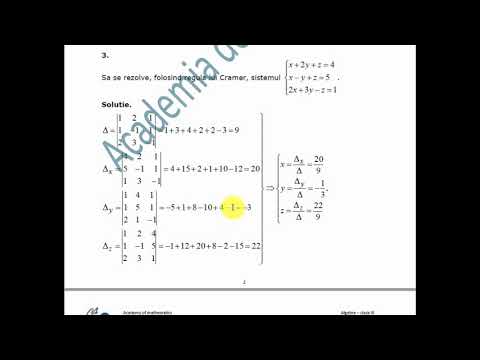 XI-Algebra-Sisteme de ecuatii liniare-Beginners