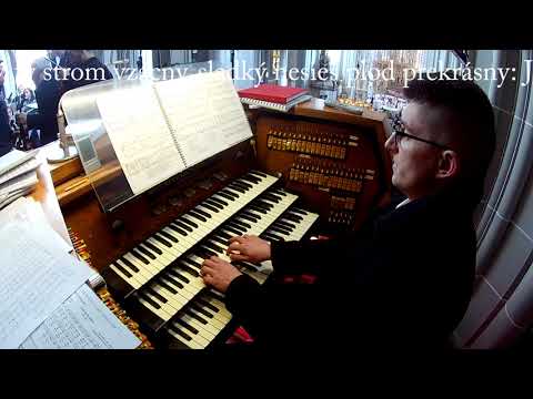 JKS 129 - Ach, kríž svätý (Dóm sv. Alžbety)