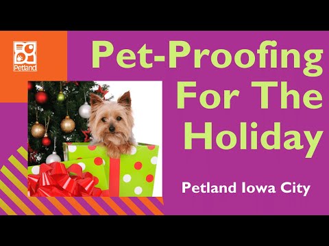 Pet Proofing For The Holidays