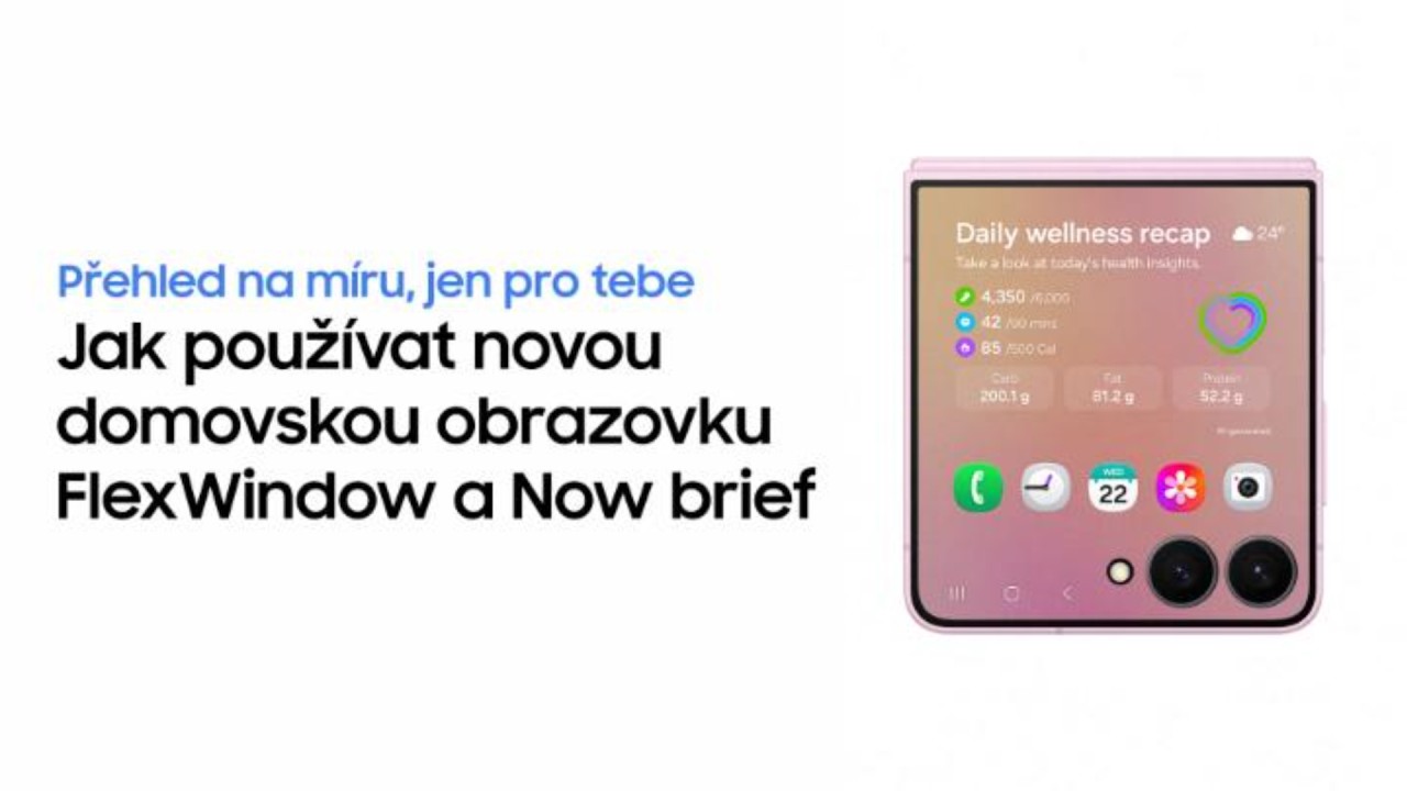 FlexWindow a Now Brief