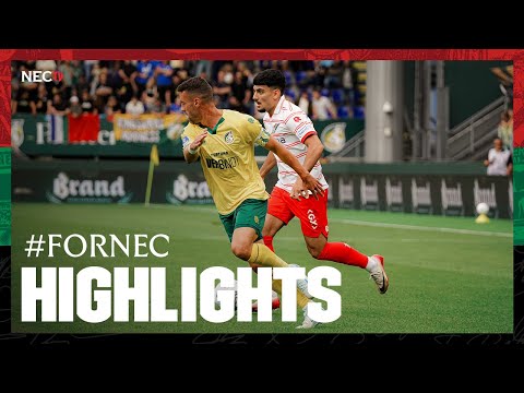 bg-highlight