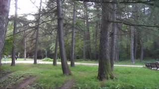 Xiu xiu-hello from Eau Claire