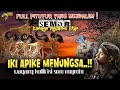 MERINDING PITUTUR JAWA LURAH SEMAR KANGGO NGLAKONI URIP WAYANG KULIT KI DALANG SENO NUGROHO