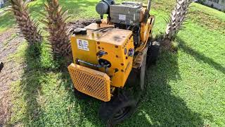 $65 Stump Grinding Job in Wesley Chapel, FL