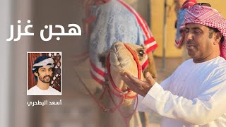 كلمات اغنية هجن غزر اسعد البطحري