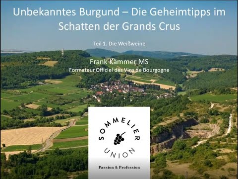 Unbekanntes Burgund #1 - Die Geheimtipps im Schatten der Grands Crus - Weißweine