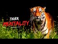 Tiger Mentality | 7 Ways Thinking Like a Tiger Attitude | Tiger Motivation