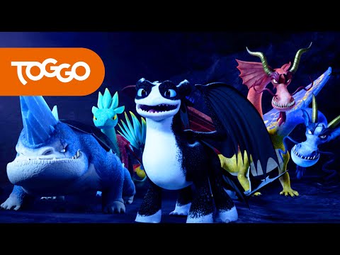 Dragons - Die 9 Welten | Die Drachen retten den Tag | TOGGO Serien