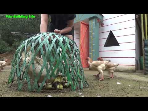 FULL VIDEO: 200 Days Build Farm Life, Raising Geese, Agricultural Harvest, Cooking | Free Bushcraft