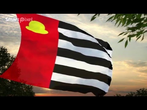 Dorpsvlag Hoedekenskerke / Village flag Hoedekenskerke