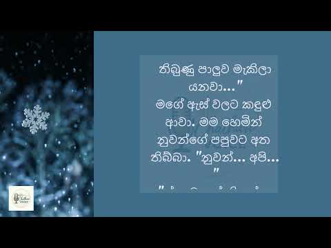 අනේ එපා අයියේ, කවුරු හරි දකියි | sinhala keti katha | new sinhala short stories 21