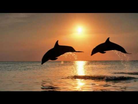 Find a treasure, find a freind by Bafana(Trance Chillout)