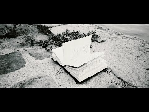 Ligeh Moneh - LE LIVRE feat. Sté'Feelin (FeelDaLinx version)