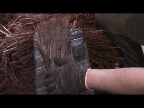 BATEÇÃO - FDJ 2013