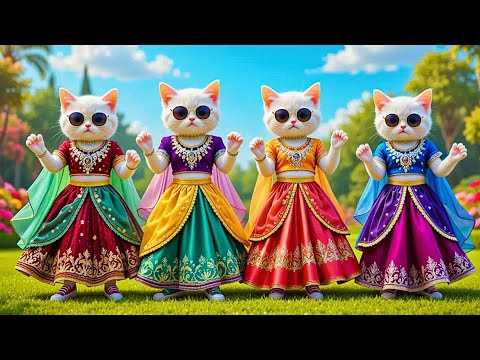 बिल्ली डांस | Cutest Cat videos funny dance🤣💃Dance Videos for cats #funny #dancingcat #cat #cute