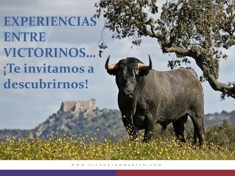 Los Victorinos se embarcan para Utiel