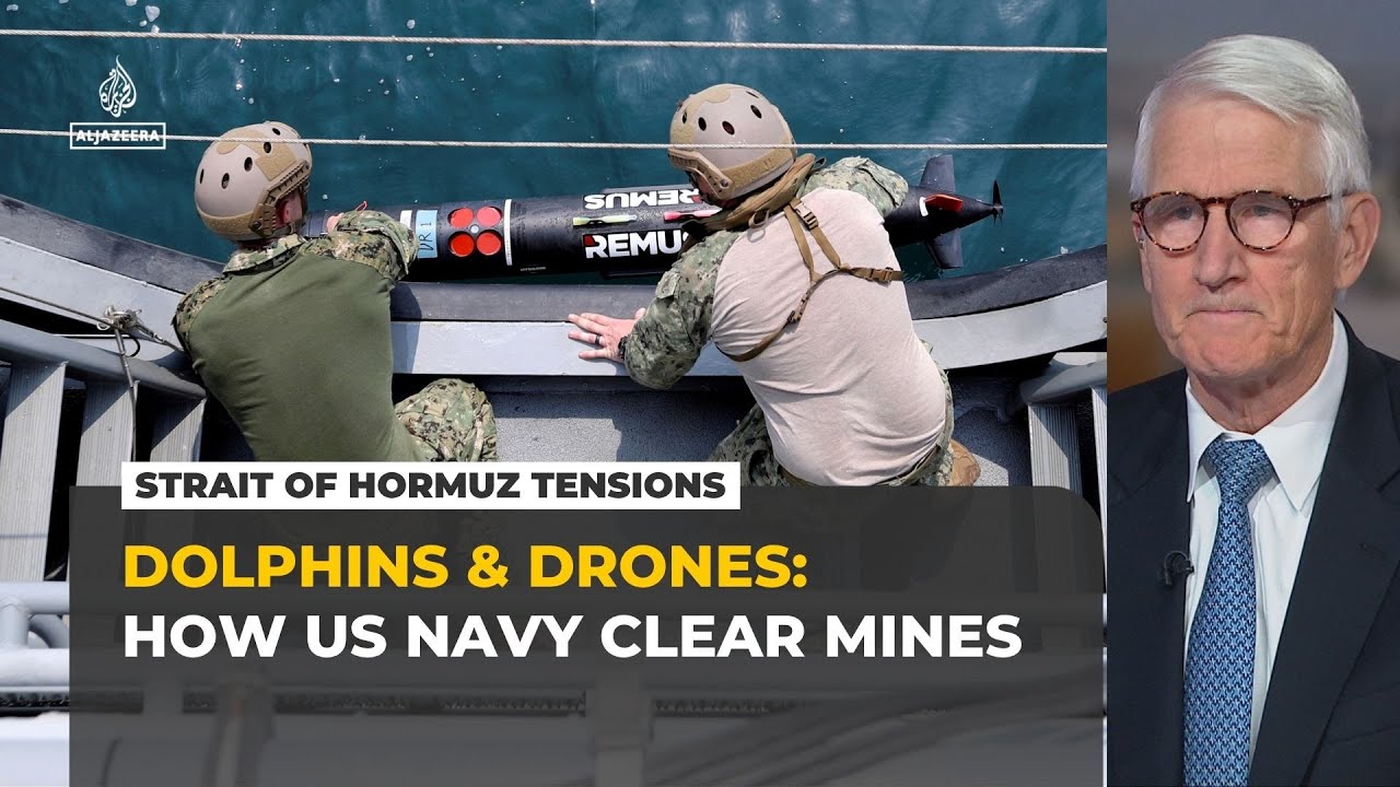 Dolphins and drones: Analyst explains how to demine the Strait of Hormuz