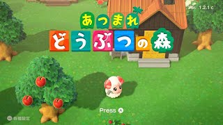 あつまれどうぶつの森　30秒動画